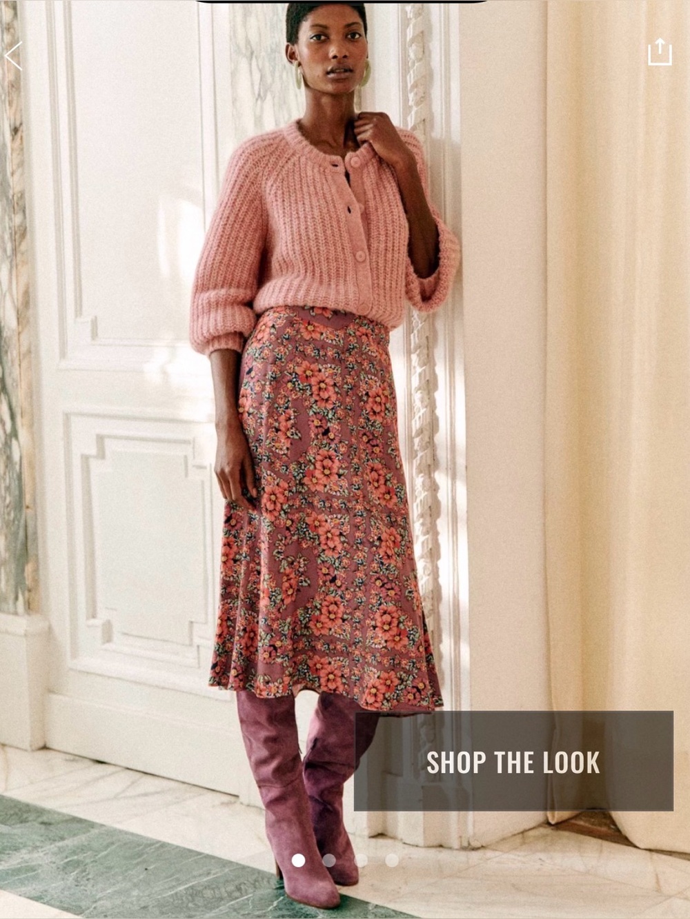 Sezane Tabata midi skirt - Picture 2 of 12